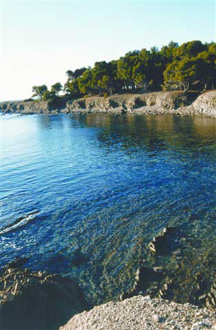 Spiaggia di Punta Licosa